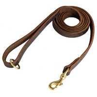 Pet leash