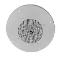 Ceiling mount speaker