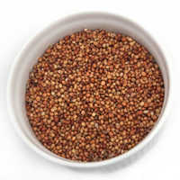 Red Sorghum