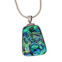 Paua shell