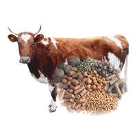 Animal feed pellets