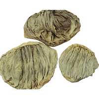 Salted Omasum