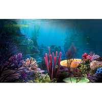 Aquarium backgrounds
