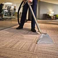 Carpet cleaning services