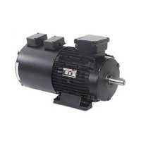 इन्वर्टर ड्यूटी मोटर्स