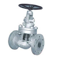 Bellow Seal Valve