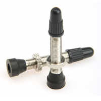 Tubeless valve