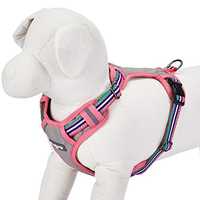 Pet harnesses
