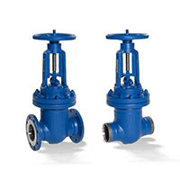 Ksb globe valve