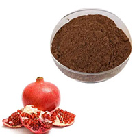 Punica granatum extract