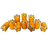 ड्रिफ्टर बिट्स