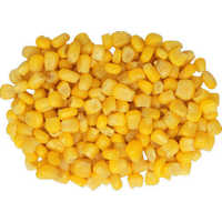 मक्का रोगाणु