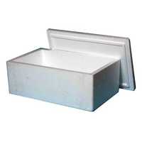 Thermocol fish boxes