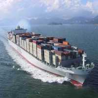 Shipping Forwarding Agency