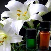 Lily oil