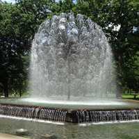 Dandelion fountain