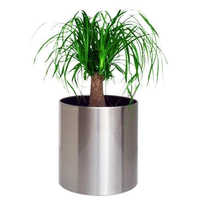 Plant container