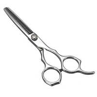 Salon scissor
