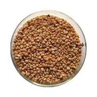 ग्वार गम बीज