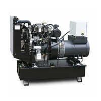 Diesel engine generator