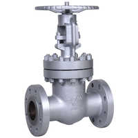 Wedge gate valve