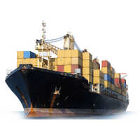 International Sea Cargo Consultant
