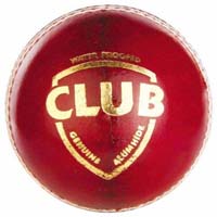 Sg cricket ball