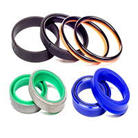 Hydraulic seal kits