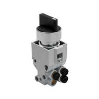 Poppet Valve