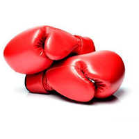 Kick boxing glove