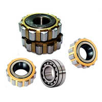 Eccentric bearings