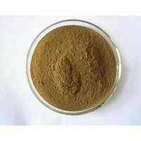 Rosemary Extract
