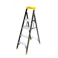 Roof top ladder