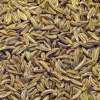 Cumin Seed