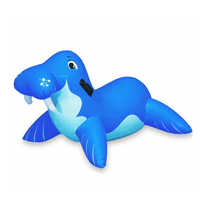 Swimming pool toys