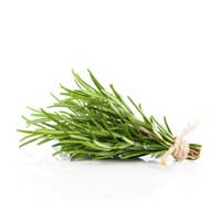 Rosemary hydrosol