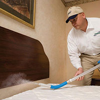Bed bugs pest control services