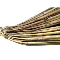 Rattan stick