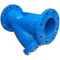 Y strainer valve