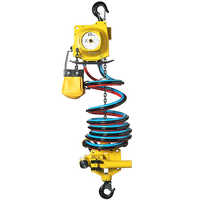 Pneumatic hoists