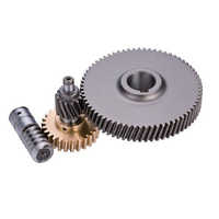 Worm gear