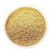 Organic foxtail millet