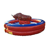 Mechanical bull ride