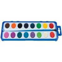 Paint trays