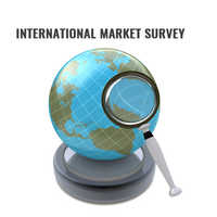 International Market Survey