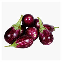 Organic brinjal