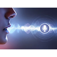 Voice recognition system