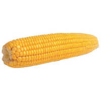 Sub Category