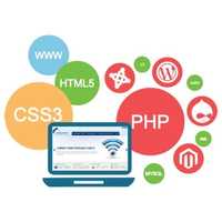 Web Developing Services