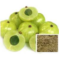 Amla extract